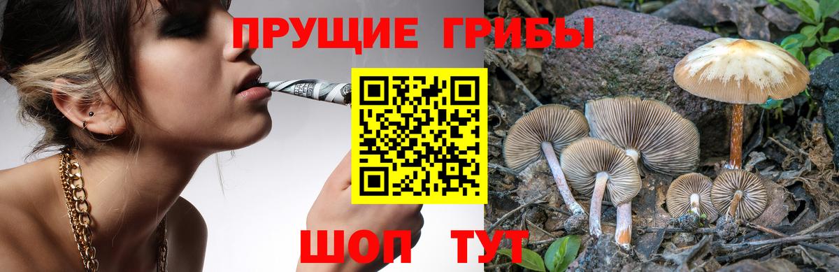Псилоцибиновые грибы ЛСД Менделеевск